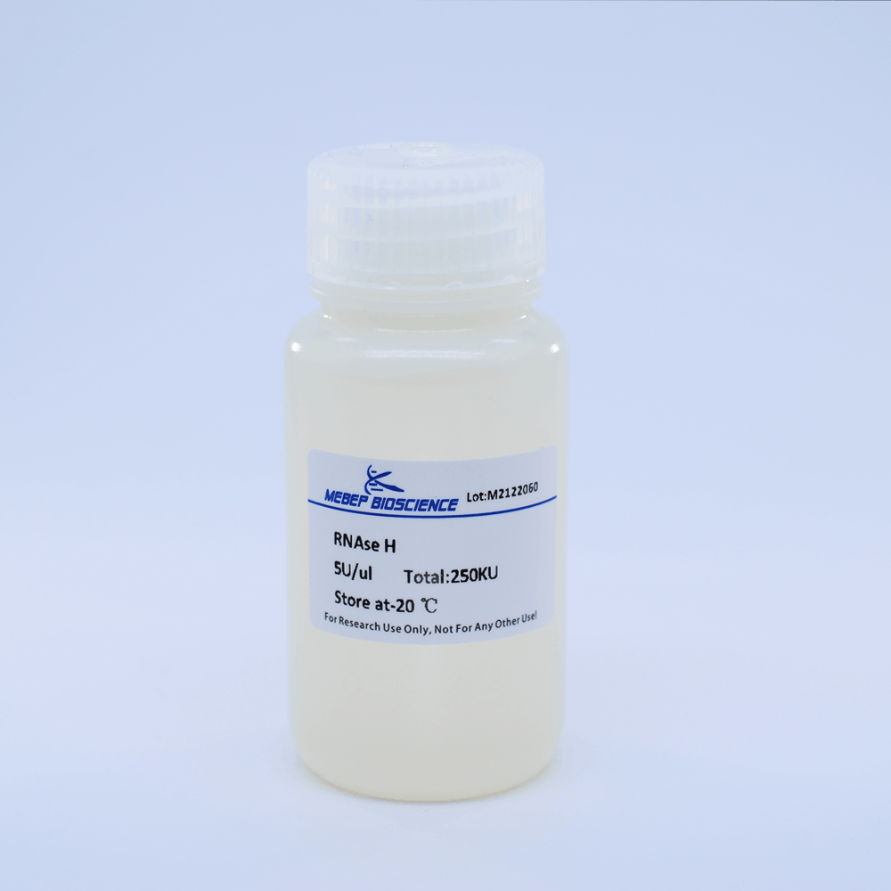 Ribonuclease H, RNase H – Tinzyme Ltd
